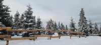 Medvedin am Berg &ndash; &copy; Ingrid Langer (Eberhardt TRAVEL)