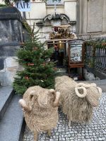 27.12.24 Abreise der Weihnachtsgäste - an der Karlsbrücke &ndash; &copy; Renate Schuster (Eberhardt TRAVEL)
