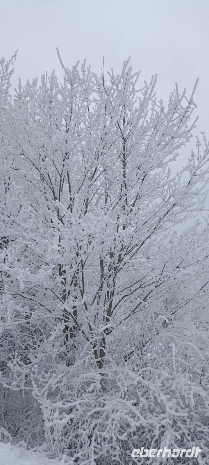Winterstimmung &ndash; &copy; Heike Meinhold (Eberhardt TRAVEL)
