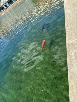 89 Fische &ndash; &copy; Gerd Müller (Eberhardt TRAVEL)