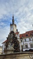Olmütz: Obermarkt &ndash; &copy; Sinah Witzig (Eberhardt TRAVEL)