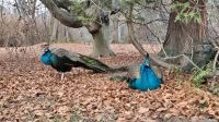 Kremsier: Schlosspark &ndash; &copy; Sinah Witzig (Eberhardt TRAVEL)