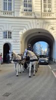 Wien: Fiaker &ndash; &copy; Sinah Witzig (Eberhardt TRAVEL)