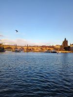 Schifffahrt - Karlsbrücke  &ndash; &copy; Johanna König (Eberhardt TRAVEL)