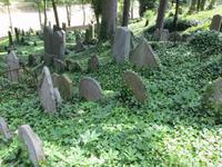 Jüdischer Friedhof Trebic &ndash; &copy; Jürgen Schmeißer (Eberhardt TRAVEL)