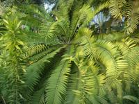 SAM_4970 &ndash; &copy; Petra Wetzel (Eberhardt TRAVEL)