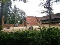 Im Zoo Liberec