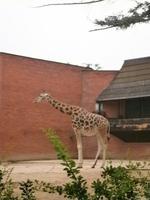 Im Zoo Liberec