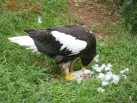 Im Zoo Liberec