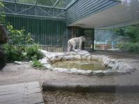 Im Zoo Liberec