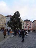 Weihnachtsbaum auf dem Marktplatz von Budweis