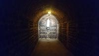 Wein in der Erde in Cejkovice