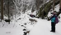 Tschechische Republik, Riesengebirge, Janske Lazne, Wanderung im Schwarzenbachtal &ndash; &copy; Ria Heilmann (Eberhardt TRAVEL)