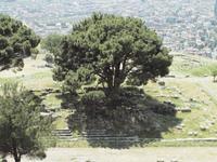 Pergamon &ndash; &copy; Juliane Voigt (Eberhardt TRAVEL)