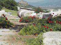 Ephesos &ndash; &copy; Juliane Voigt (Eberhardt TRAVEL)
