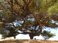 in Asklepion &ndash; &copy; Yvonne Geisler (Eberhardt TRAVEL)