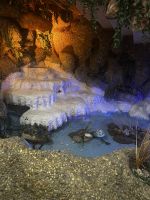 IMG_5260.jpeg