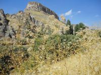 Soganli &ndash; &copy; Ivonne Lischke (Eberhardt TRAVEL)