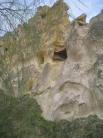 Cavusin