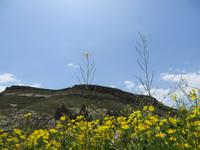Soganli-Tal &ndash; &copy; Sabine Letzybyll (Eberhardt TRAVEL)