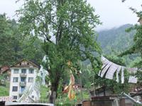 Im Bergdorf Ayder &ndash; &copy; Martina Pötschke (Eberhardt TRAVEL)