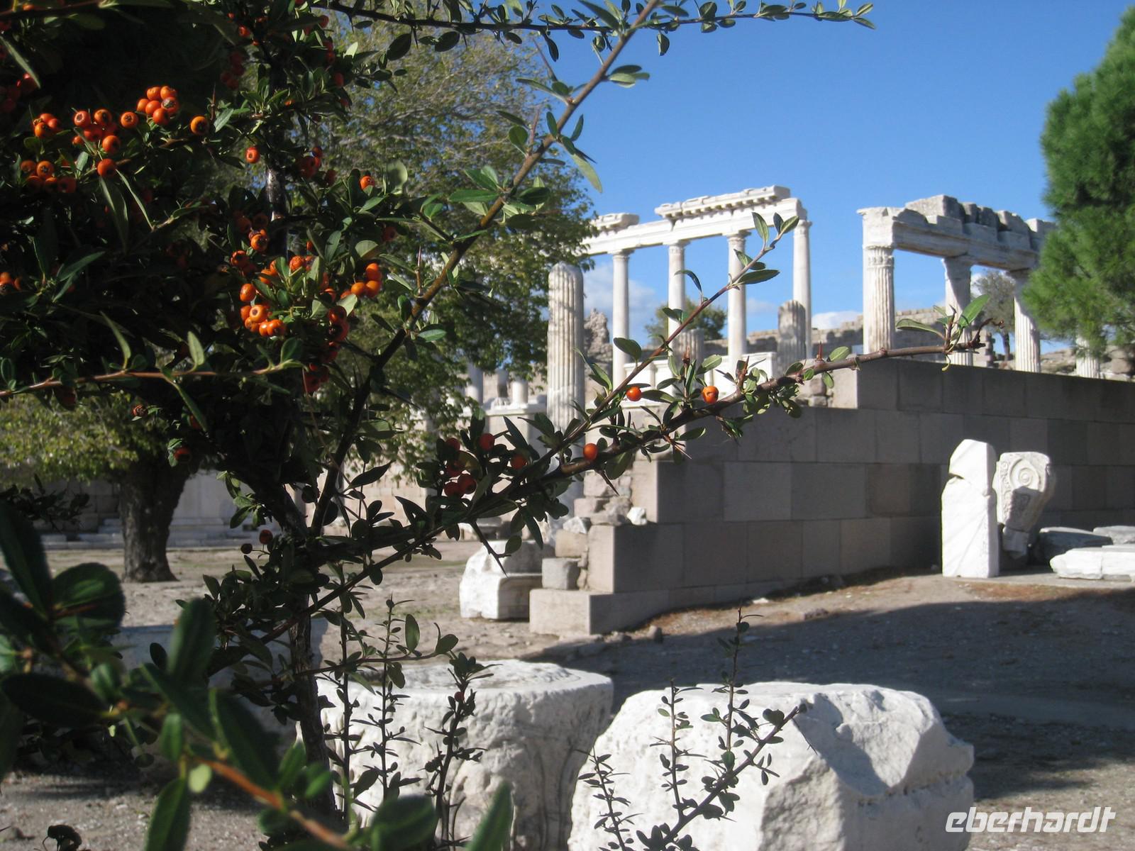 Pergamon &ndash; &copy; Jürgen Schmeißer (Eberhardt TRAVEL)