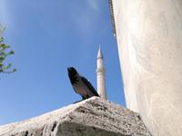 &copy; Willy Gräske (Eberhardt TRAVEL)