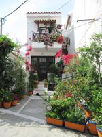 Samos, Kokkari
