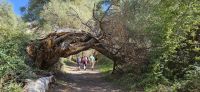 Ihlara Schlucht &ndash; &copy; Ria Heilmann (Eberhardt TRAVEL)