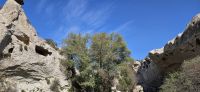 Cat Tal &ndash; &copy; Ria Heilmann (Eberhardt TRAVEL)