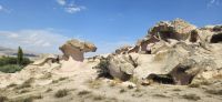 Cat Tal &ndash; &copy; Ria Heilmann (Eberhardt TRAVEL)