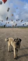mein Bodyguard am Boden &ndash; &copy; Ria Heilmann (Eberhardt TRAVEL)