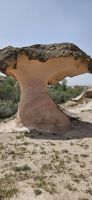 PIlz... &ndash; &copy; Ria Heilmann (Eberhardt TRAVEL)