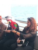 Der Papagei von Käpt'n Hook &ndash; &copy; Heike Jack (Eberhardt TRAVEL)