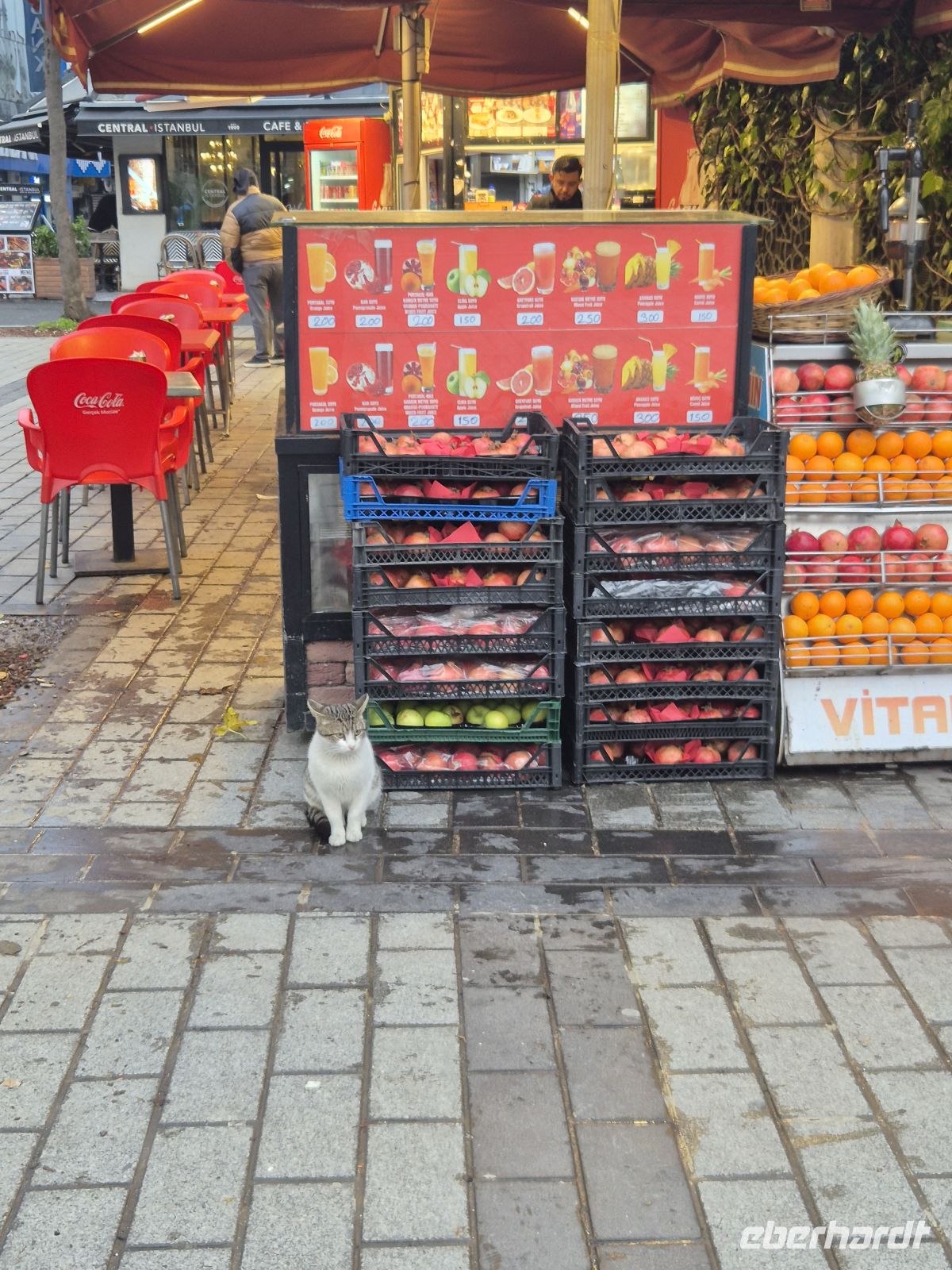 Stadtrundgang Istanbul - Türkei &ndash; &copy; Marie Dittrich (Eberhardt TRAVEL)