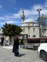 Moscheen überall