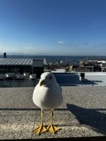 Frühstücksgast &ndash; &copy; Bettina Langendörfer (Eberhardt TRAVEL)
