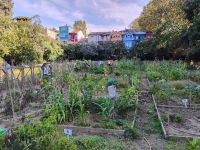Gartenprojekt in Kuzguncuk &ndash; &copy; Monika Cortese (Eberhardt TRAVEL)