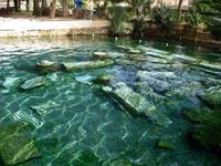 Antike Pool in Pamukkale &ndash; &copy; Sandra Mahr (Eberhardt TRAVEL)
