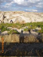 Weinreben &ndash; &copy; Sandra Mahr (Eberhardt TRAVEL)