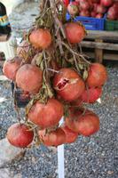 Granatäpfel &ndash; &copy; Manuela Kreuz (Eberhardt TRAVEL)