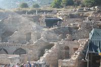Ephesus &ndash; &copy; Manuela Kreuz (Eberhardt TRAVEL)