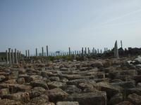 Perge