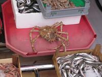 Auf dem Fischmarkt &ndash; &copy; Tina Pöhler (Eberhardt TRAVEL)