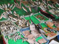 Auf dem Fischmarkt