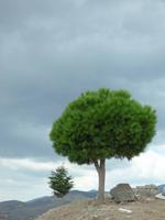 Bergama // Pergamon &ndash; &copy; Yvonne Geisler (Eberhardt TRAVEL)