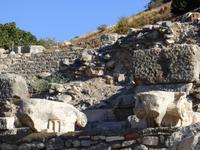 Stiere in Ephesus &ndash; &copy; Yvonne Geisler (Eberhardt TRAVEL)