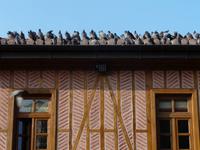 In Ankara &ndash; &copy; Anne Sturm (Eberhardt TRAVEL)