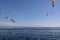 Istanbul &ndash; &copy; Franziska Schütt (Eberhardt TRAVEL)