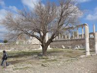 Türkei, Pergamon &ndash; &copy; Ria Heilmann (Eberhardt TRAVEL)